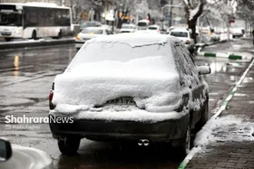 ویدئو| بارش برف مشهد را سفیدپوش کرد (۲۶ دی ۱۴۰۴)
