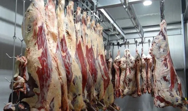 شناسایی ۱۶ بیمار مشکوک به تب کریمه کنگو در تربت‌جام