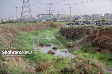 گزارش تصویری | بارش باران بهاری در مشهد (۲۶ فروردین ماه ۱۴۰۴)