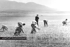 یادی از باران&zwnj;های سیل آسا در دهه ۳۰ شمسی در مشهد| باران، نان را برد