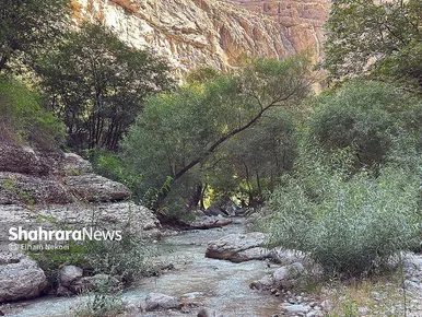 گزارش تصویری | طبیعت تابستانی دره شمخال