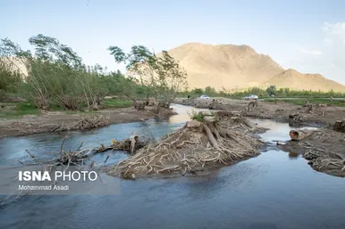 گزارش تصویری | قطع گسترده درختان روستای «اسکان» - شازند