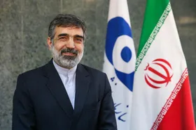 بهروز کمالوندی: امسال ۴۰ تن کیک زرد تولید می&zwnj;کنیم