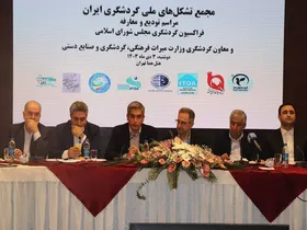 ایرلاین&zwnj;های خارجی با گرانفروشی باعث هزاران دلار ارزبری از ایران می&zwnj;شوند