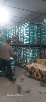 کشف و ضبط محموله ۱۵ تنی گوشت احتکارشده در مشهد + عکس و جزئیات