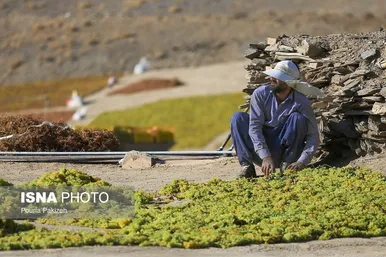 ایران زیباست | دره «جوزان»