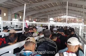 ویدئو| تردد روان و بی وقفه زائران اربعین حسینی در پایانه مرزی مهران (۱۳ مرداد ۱۴۰۴)