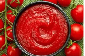رب گوجه فرنگی، چاشنی پرطرفدار در آشپزی