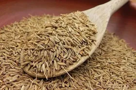 کسب رتبه نخست تولید زیره سبز در کشور توسط خراسان&zwnj;رضوی