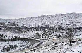 ویدئو | حال&zwnj;وهوای زمستانی بوستان خورشید مشهد (۷ اسفند ۱۴۰۲)