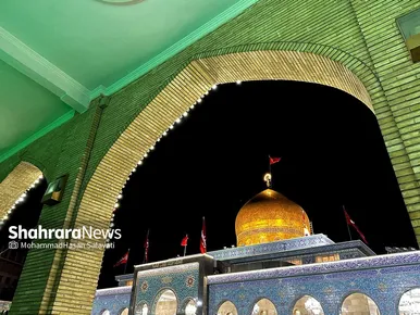 تصاویری از حرم حضرت زینب (س) چند روز قبل از سقوط دولت سوریه