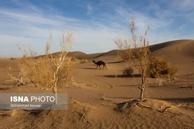 ایران زیباست | «کویر مصر»