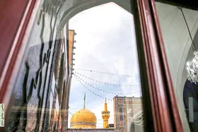 خوش&zwnj;به&zwnj;حال گردو&zwnj;ها