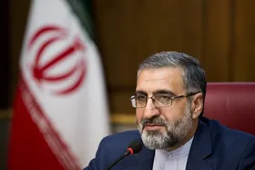 سخنگوی قوه قضائیه: مهدی جهانگیری به&zwnj;دلیل قاچاق حرفه&zwnj;ای ارز به ۲ سال حبس محکوم شد
