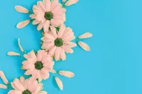 مثبت‌اندیشی چاره‌ عبور از مشکلات