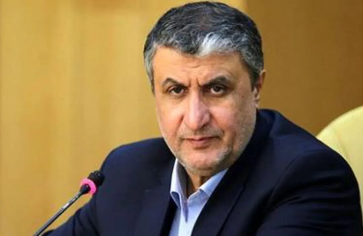ایران در تولید رادیوداروها به توانمندی بالایی رسیده است | اسلامی: با عربستان همکاری خواهیم کرد