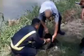 کشف جسد یک نوزاد در بابلسر + توضیح نیروی انتظامی