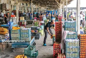 تعطیلی میادین بار مشهد در روز چهارشنبه (۱۵ بهمن ۱۴۰۴) + علت