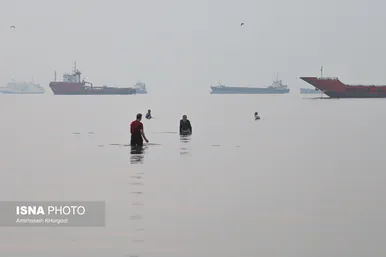 گزارش تصویری | طلوع در ساحل «سورو»