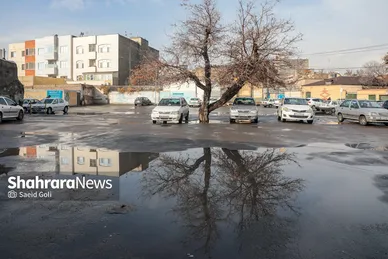 بارش باران در مشهد