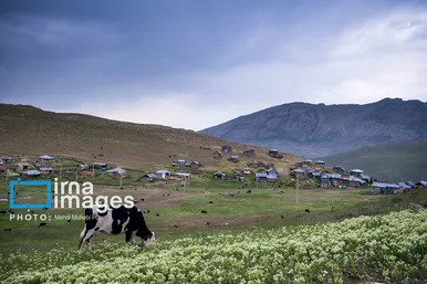 ایران زیباست | ییلاق در کوهستان