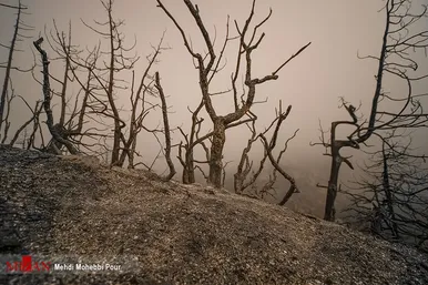 آتش سوزی منطقه حفاظت شده جهان نمای  گلستان