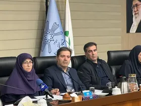 رئیس سازمان حفاظت محیط زیست: فرونشست زمین در ۳۰ استان گزارش شد