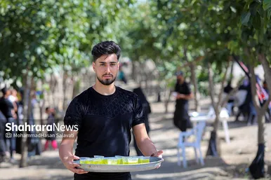 زائران پیاده امام رضا (ع)