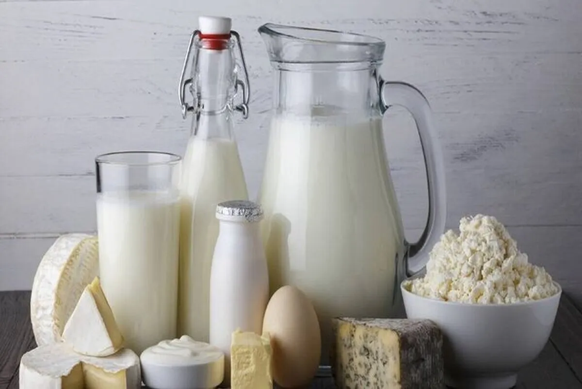 قیمت جدید ۴ محصول لبنی تعیین شد (۲۵ مهر ۱۴۰۳)
