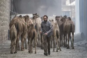 &laquo;روز بلوا&raquo; تبدیل به سریال می شود | پخش ساخته بهروز شعیبی از نماوا