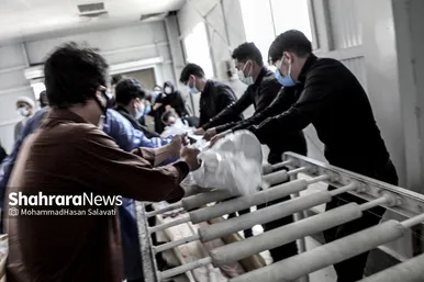 سایه سیاه کرونا بر سر مشهد