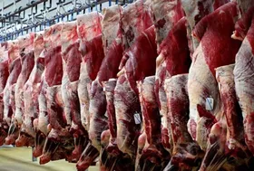 توزیع گوشت ۵۰ هزار تومانی در بازار