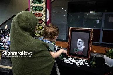 سوگواره هنری شهدای خدمت «ققنوس»