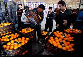 میوه شب عید رسید