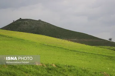 ایران زیباست | زمستان بَهاری در فارس