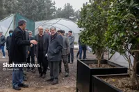 شهردار مشهد مقدس: گذر گل در نوروز ۱۴۰۴ ایجاد می‌شود | در حوزه زیباسازی شهر و المان‌های شهری ویژه‌تر کار می‌کنیم