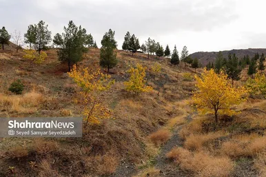 گزارش تصویری | گشتی صبحگاهی در کوه‌پارک مشهد