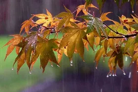 پیش&zwnj;بینی بارش باران در نقاط مختلف کشور (۸ مهرماه ۱۴۰۲)