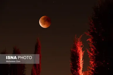 گزارش تصویری | ماه گرفتگی قرن - ایران