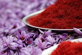 ثبات به بازار زعفران برگشت