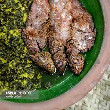 رشت شهر غذاهای خوشمزه