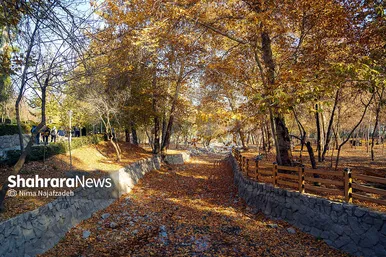 طبیعت پاییزی بوستان های مشهد