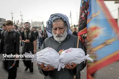 گزارش تصویری | در مسیر کربلا، به یاد کودکان غزه