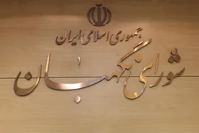 طرح حمایت از گزارشگران فساد توسط شورای نگهبان تایید شد