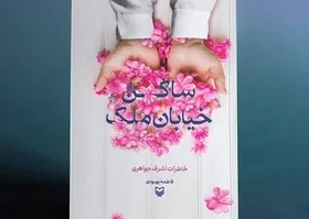 &laquo;ساکن خیابان ملک&raquo; به کتابفروشی&zwnj;ها آمد