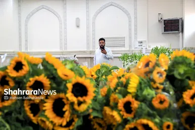 گل آرایی حرم مطهر رضوی در آستانه میلاد امام رضا (ع)