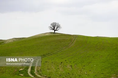 ایران زیباست | زمستان بَهاری در فارس