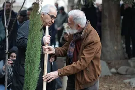 تقدیم بخش &laquo;درخت زرین&raquo; جشنواره تجسمی فجر به سرو چهارهزارساله ابرکوه