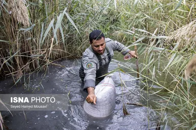 نگهبانان تالاب هورالعظیم