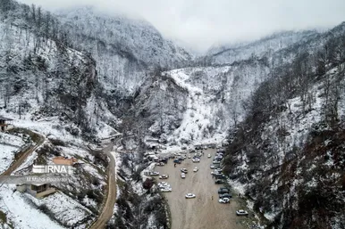 گلستان در زمستان